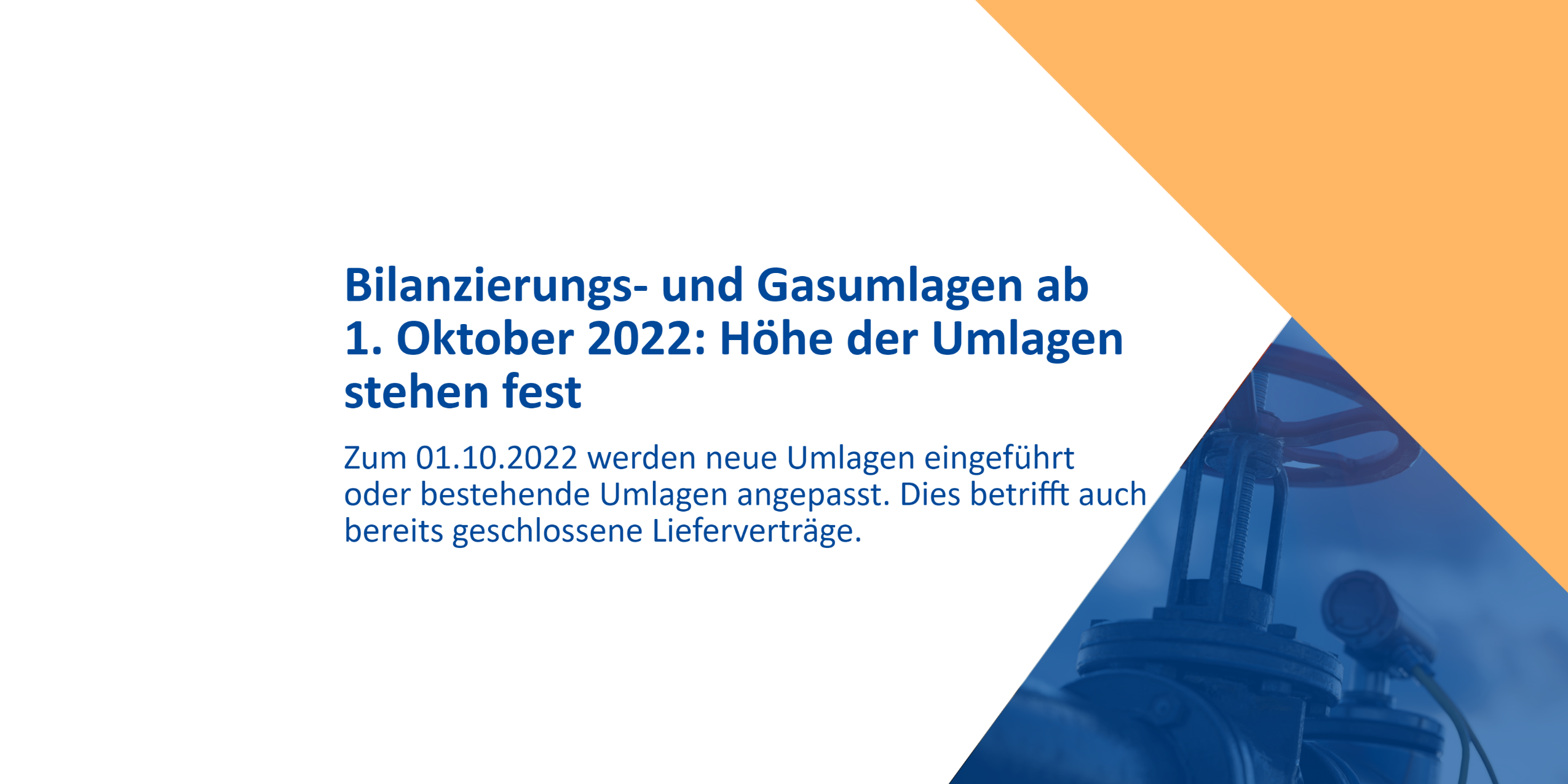 Bilanzierungs- und Gasumlagen Bilanzierungs- und Gasumlagen