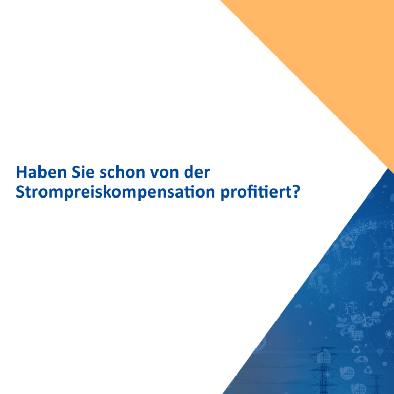 BesAR-3-StromNEV (1)