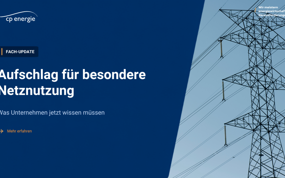 Aufschlag für besondere Netznutzung 2025 – was Unternehmen jetzt beachten müssen