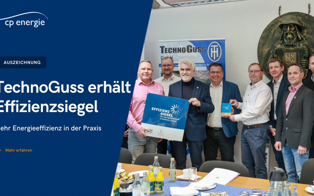 Auszeichnung für mehr Energieeffizienz: TechnoGuss erhält Effizienzsiegel